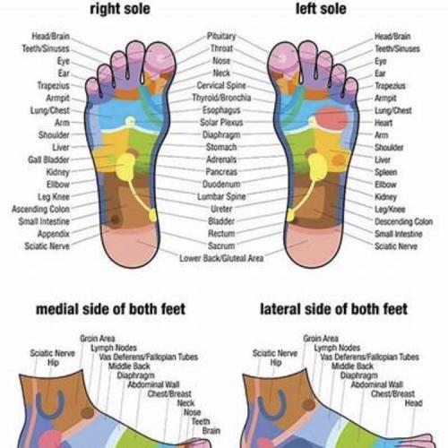 Reflexology for Feet and Hands thumbnail