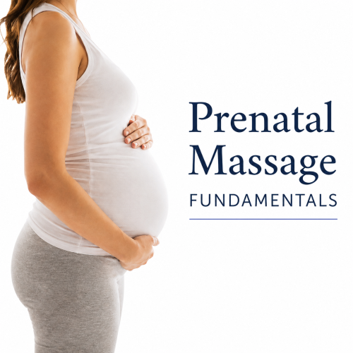 Prenatal Massage Fundamentals thumbnail